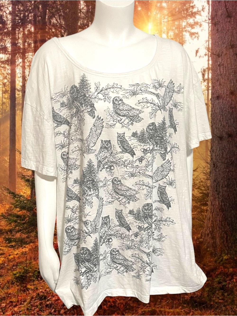 April Cornell Owl in the Woods Graphic Scoop Neck Tee Cream Cottagecore XL/XXL
